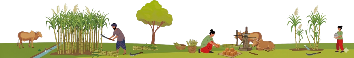 Organic farm